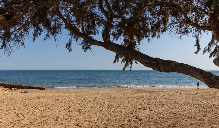 Reventa - Apartamento / piso - Torrevieja - La Mata