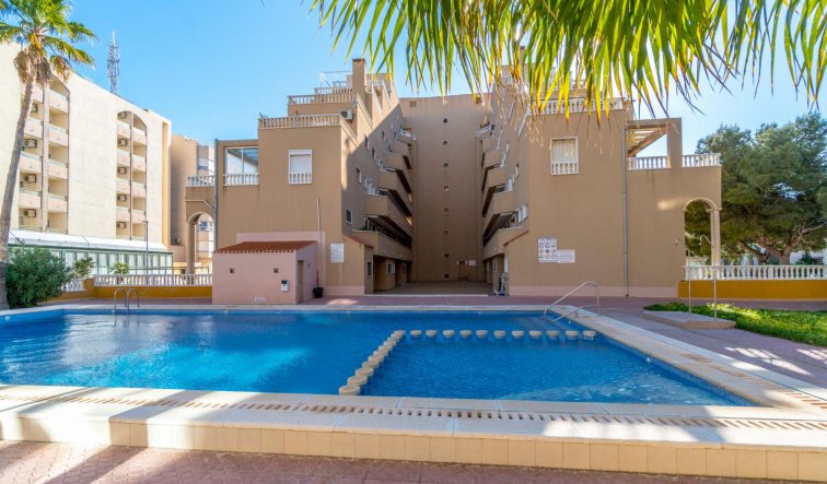Reventa - Apartamento / piso - Torrevieja - Punta Prima