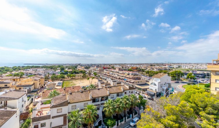 Reventa - Apartamento / piso - Torrevieja - Punta Prima