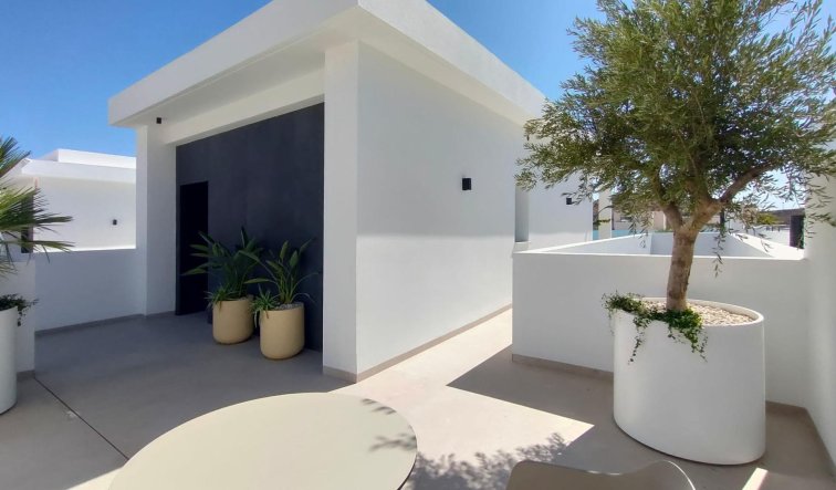 Obra nueva - Villa - Rojales - Ciudad Quesada