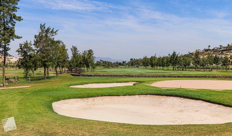 Obra nueva - Villa - Rojales - Ciudad Quesada