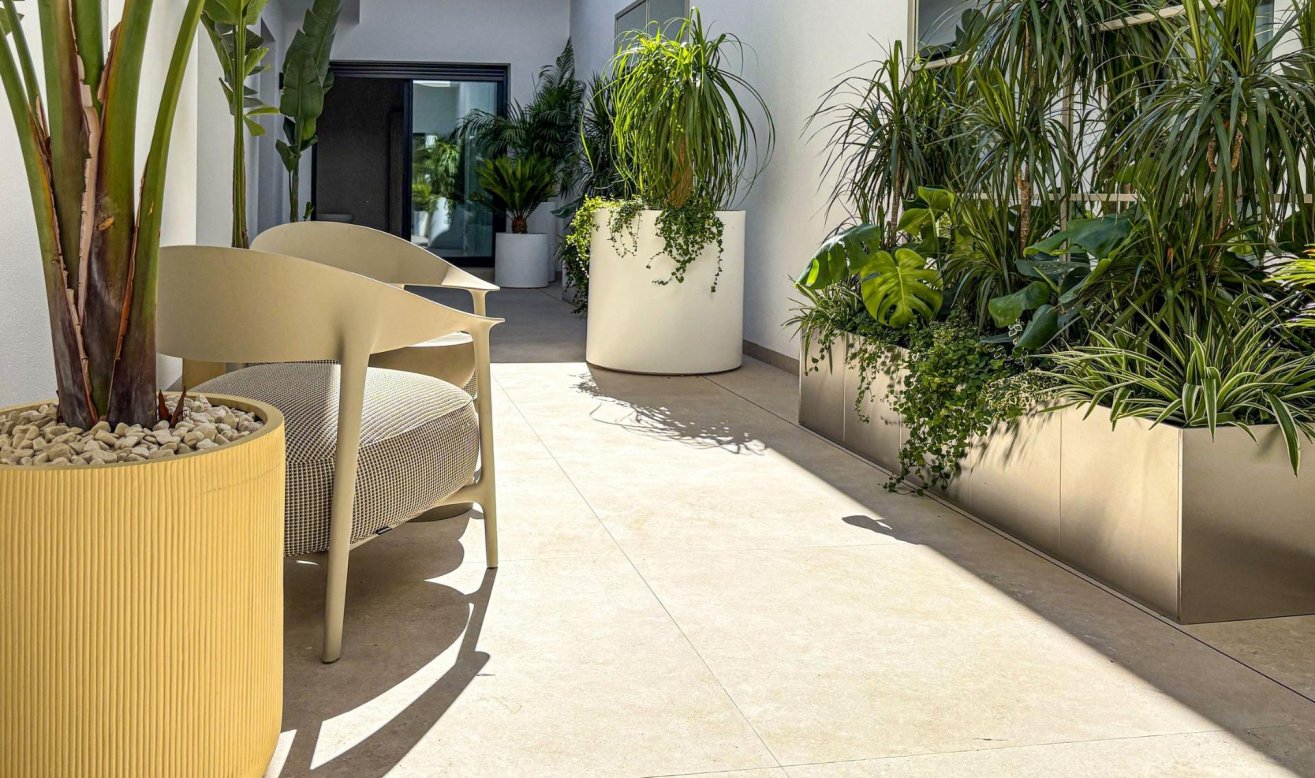 Obra nueva - Villa - Rojales - Ciudad Quesada