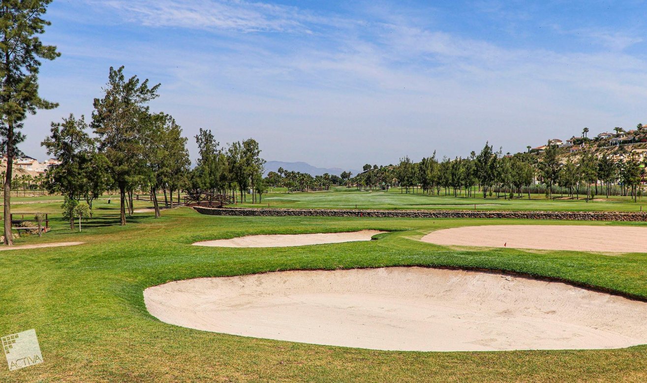 Obra nueva - Villa - Rojales - Ciudad Quesada