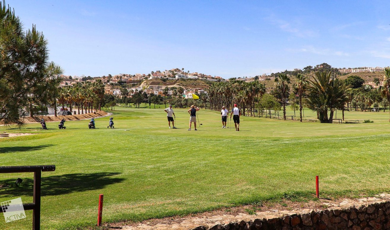 Obra nueva - Villa - Rojales - Ciudad Quesada