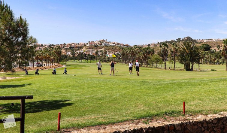 Obra nueva - Villa - Rojales - Ciudad Quesada