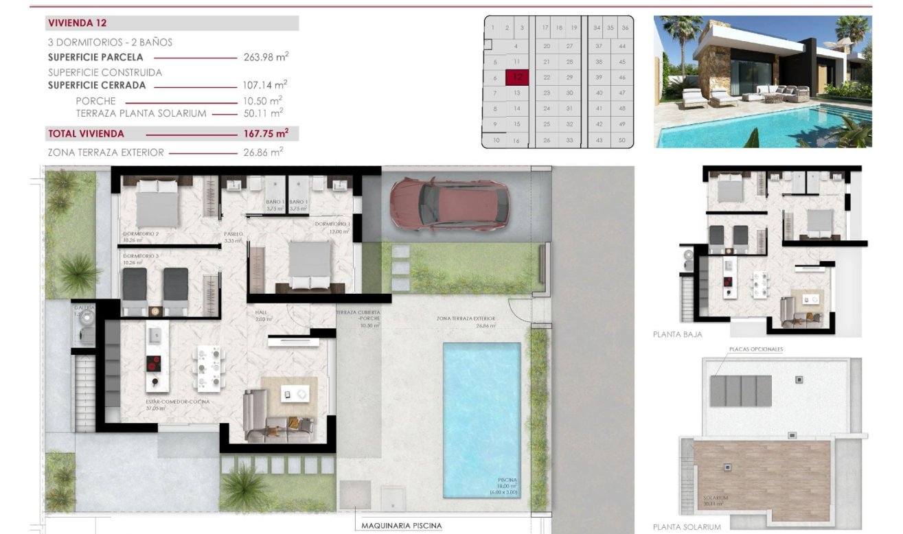 Obra nueva - Villa - Ciudad Quesada - Lo marabú