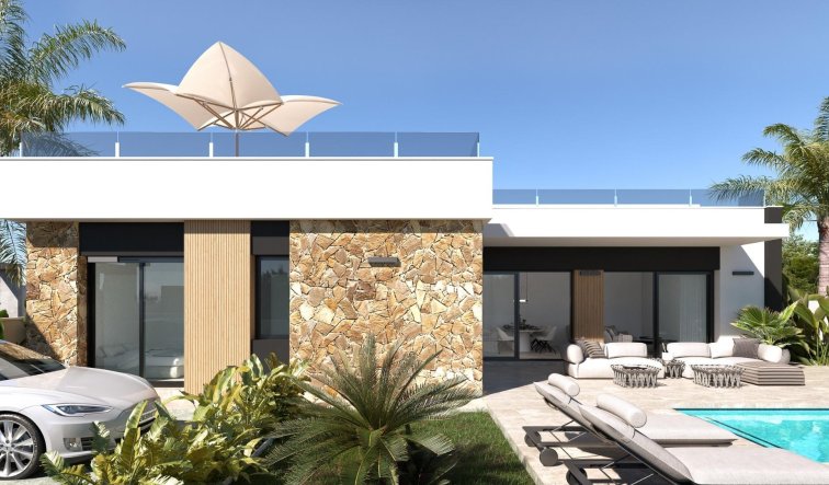 Obra nueva - Villa - Ciudad Quesada - Lo marabú