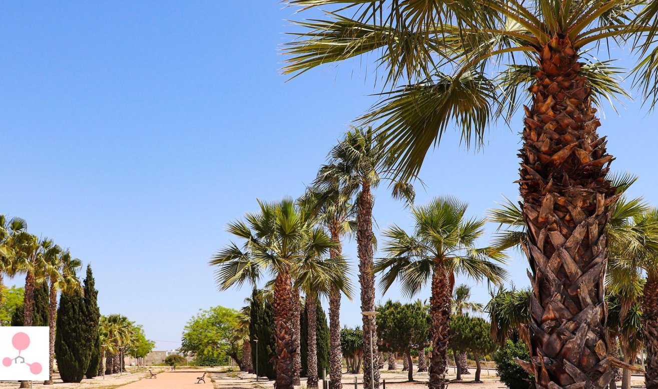 Obra nueva - Villa - San Fulgencio - La Escuera