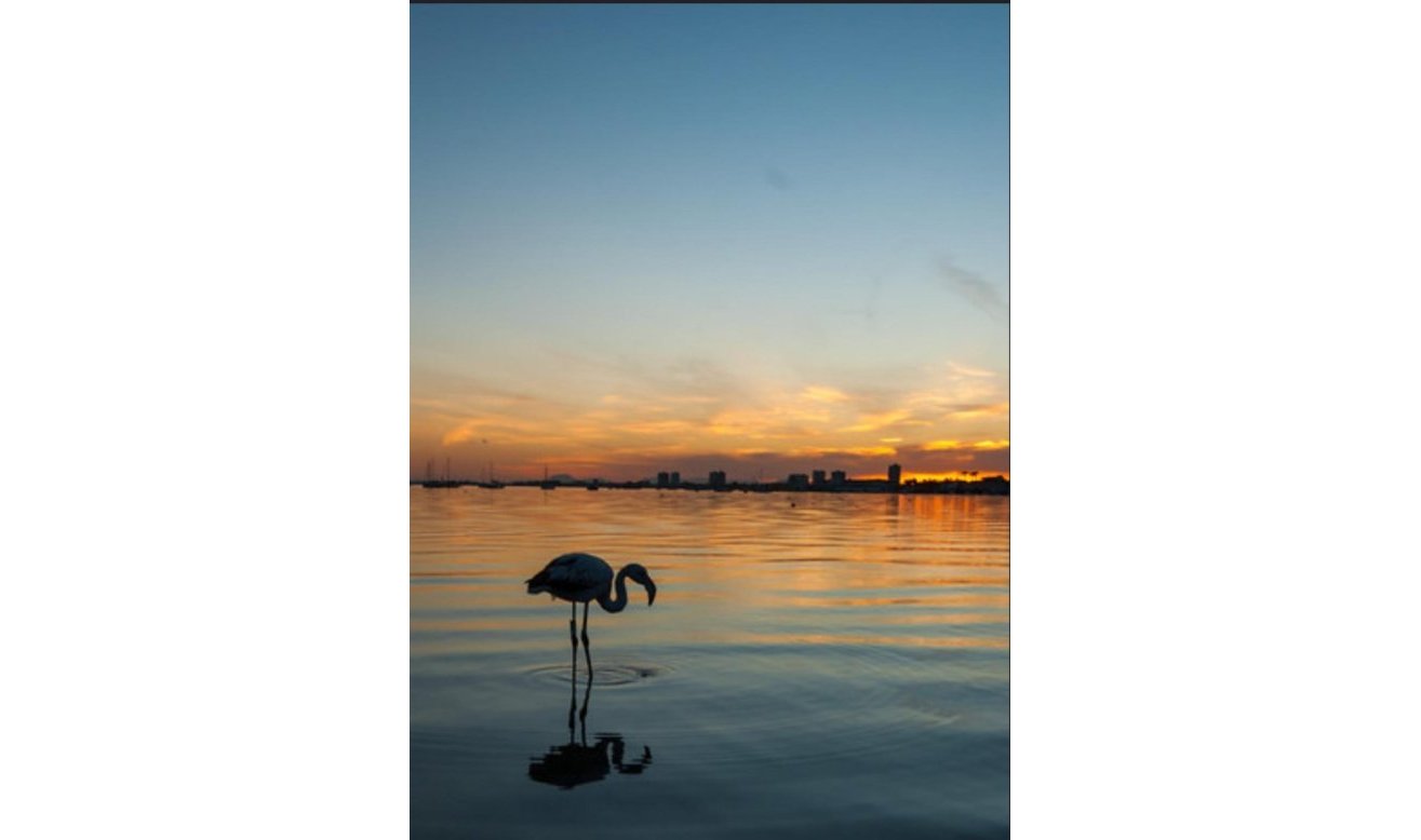 Reventa - Apartamento / piso - Los Urrutias