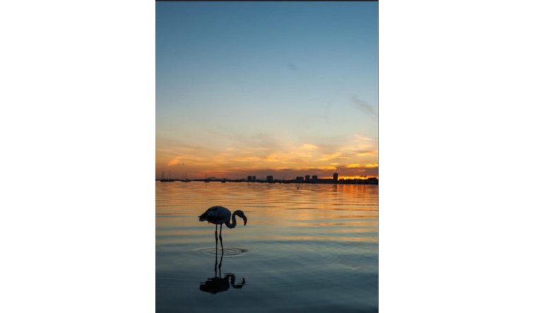 Reventa - Apartamento / piso - Los Urrutias