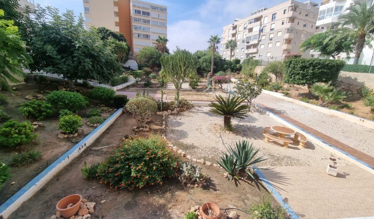 Reventa - Apartamento / piso - Torrevieja - Torreblanca La Mata