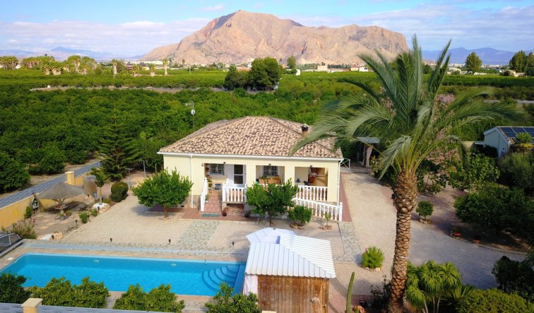 Reventa - Country Property - Orihuela - La Campaneta