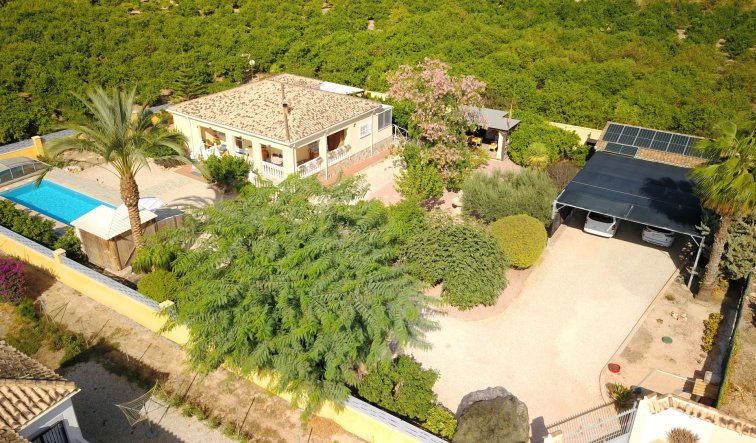 Reventa - Country Property - Orihuela - La Campaneta