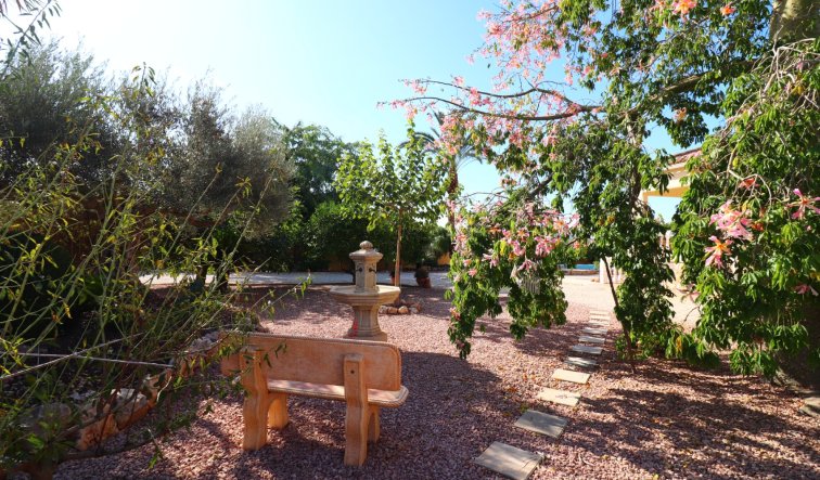 Reventa - Country Property - Orihuela - La Campaneta