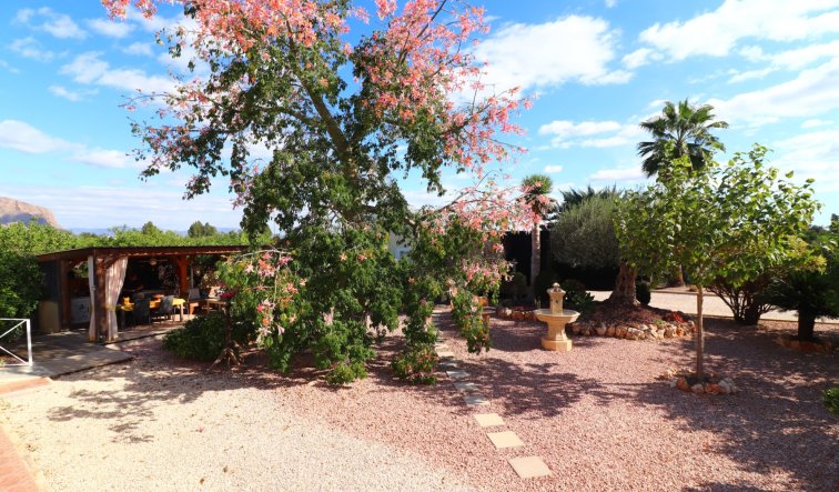 Reventa - Country Property - Orihuela - La Campaneta