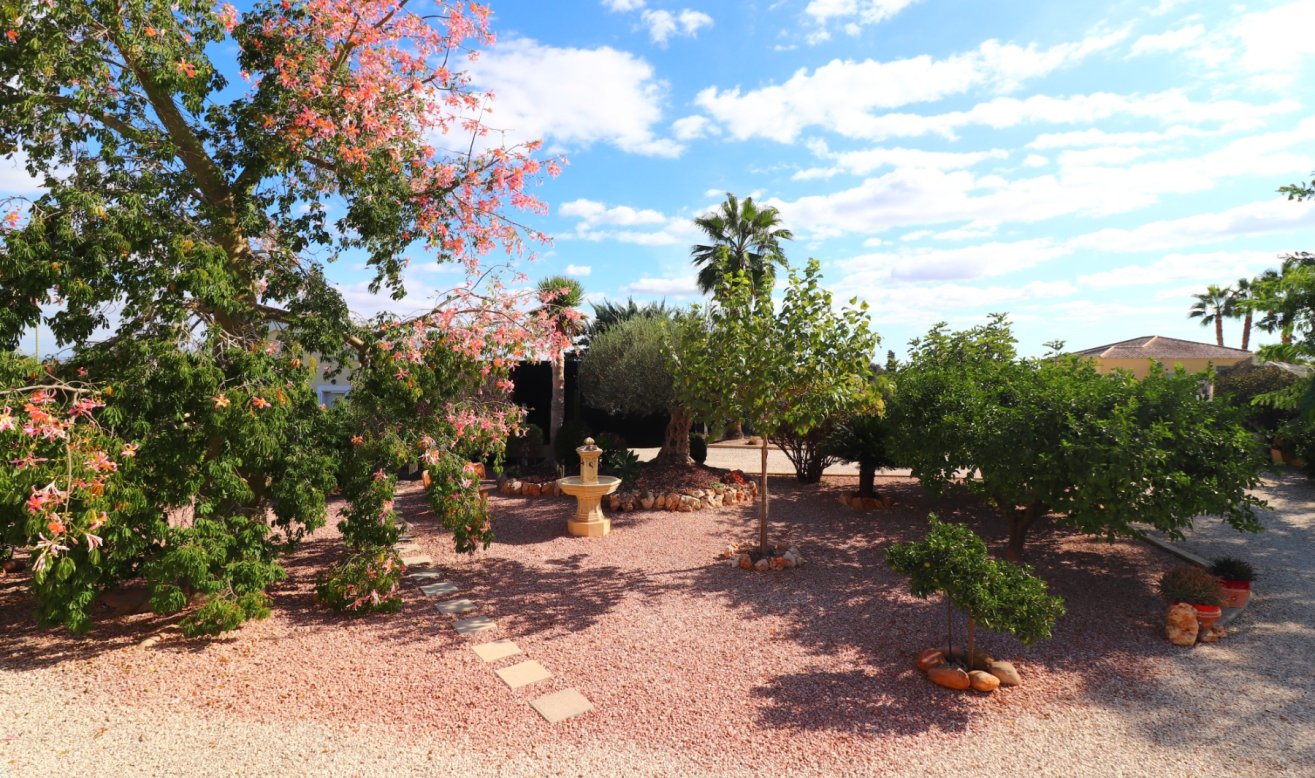 Reventa - Country Property - Orihuela - La Campaneta