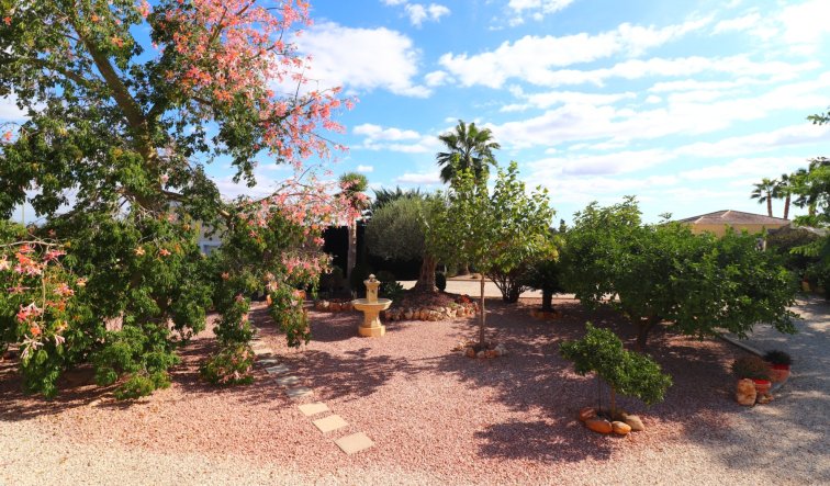 Reventa - Country Property - Orihuela - La Campaneta