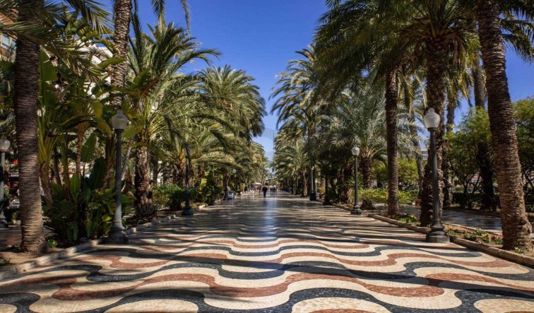 Obra nueva - Apartamento / piso - Alicante - Centro