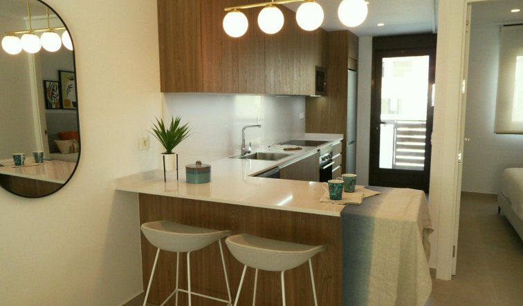 Obra nueva - Villa - Pilar de la Horadada - El Pilar de la Horadada