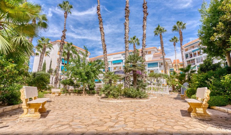 Reventa - Apartamento / piso - Torrevieja