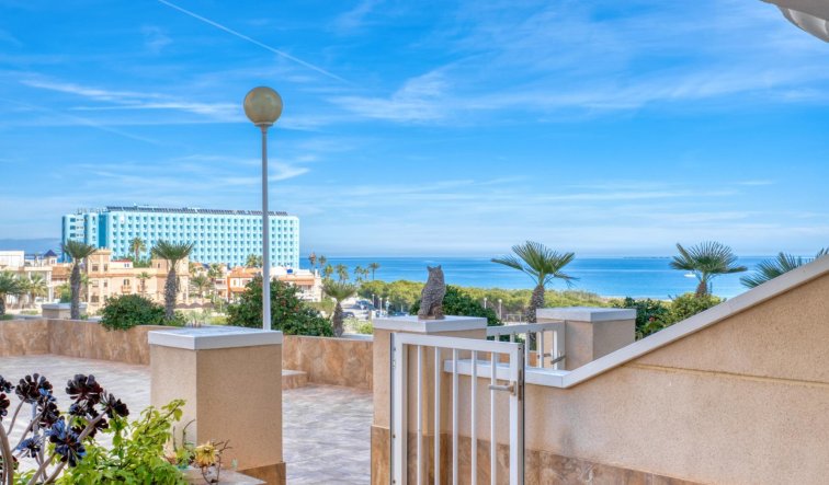 Reventa - Apartamento / piso - Guardamar del Segura - Guardamar