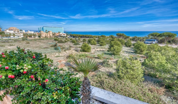 Reventa - Apartamento / piso - Guardamar del Segura - Guardamar