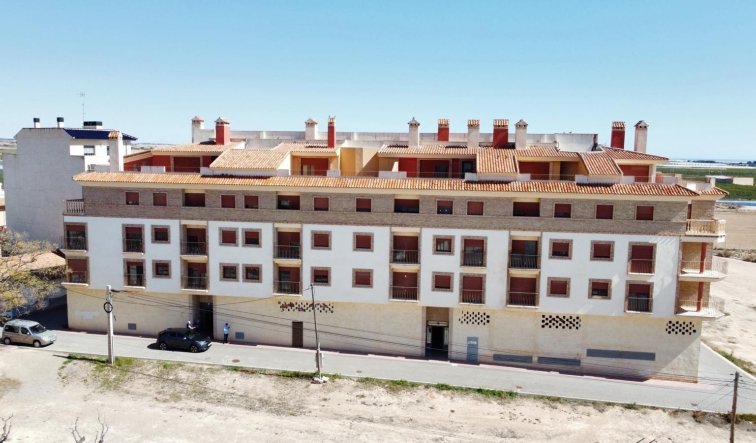 Obra nueva - Apartamento / piso - Avileses - pueblo