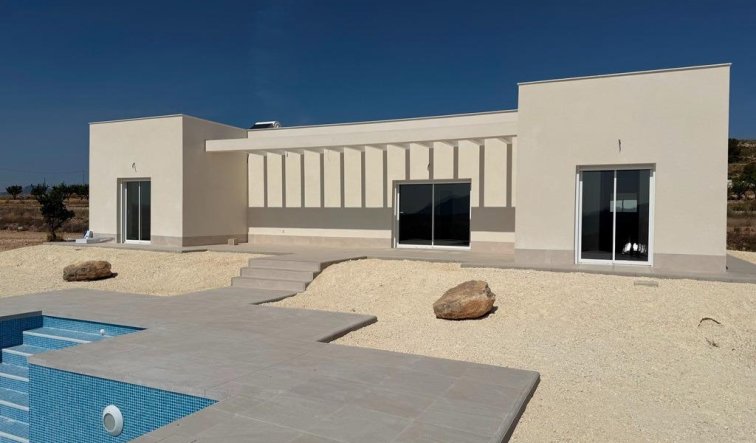 Obra nueva - Villa - Pinoso - Camino Del Prado