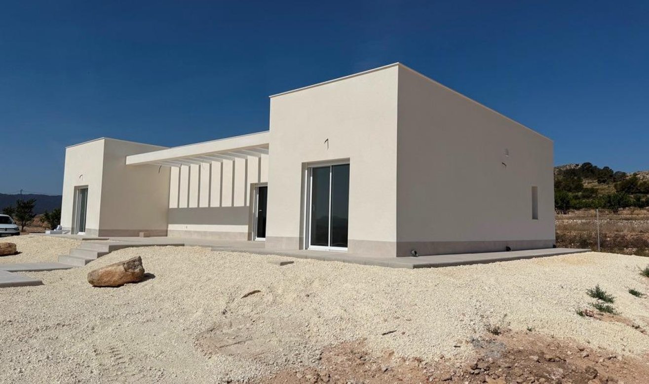 Obra nueva - Villa - Pinoso - Camino Del Prado