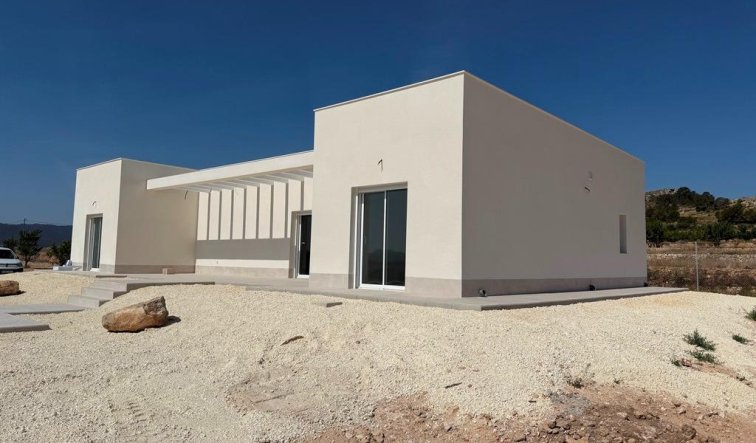 Obra nueva - Villa - Pinoso - Camino Del Prado