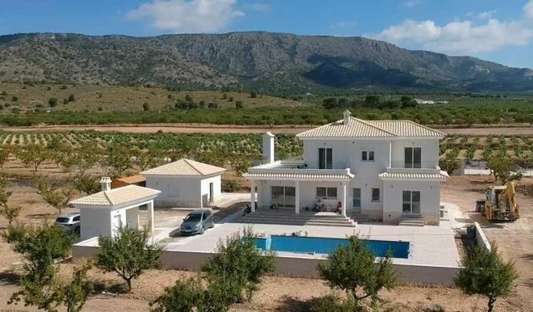 Obra nueva - Villa - Pinoso - Camino Del Prado