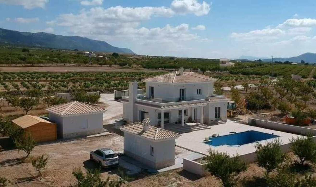 Obra nueva - Villa - Pinoso - Camino Del Prado