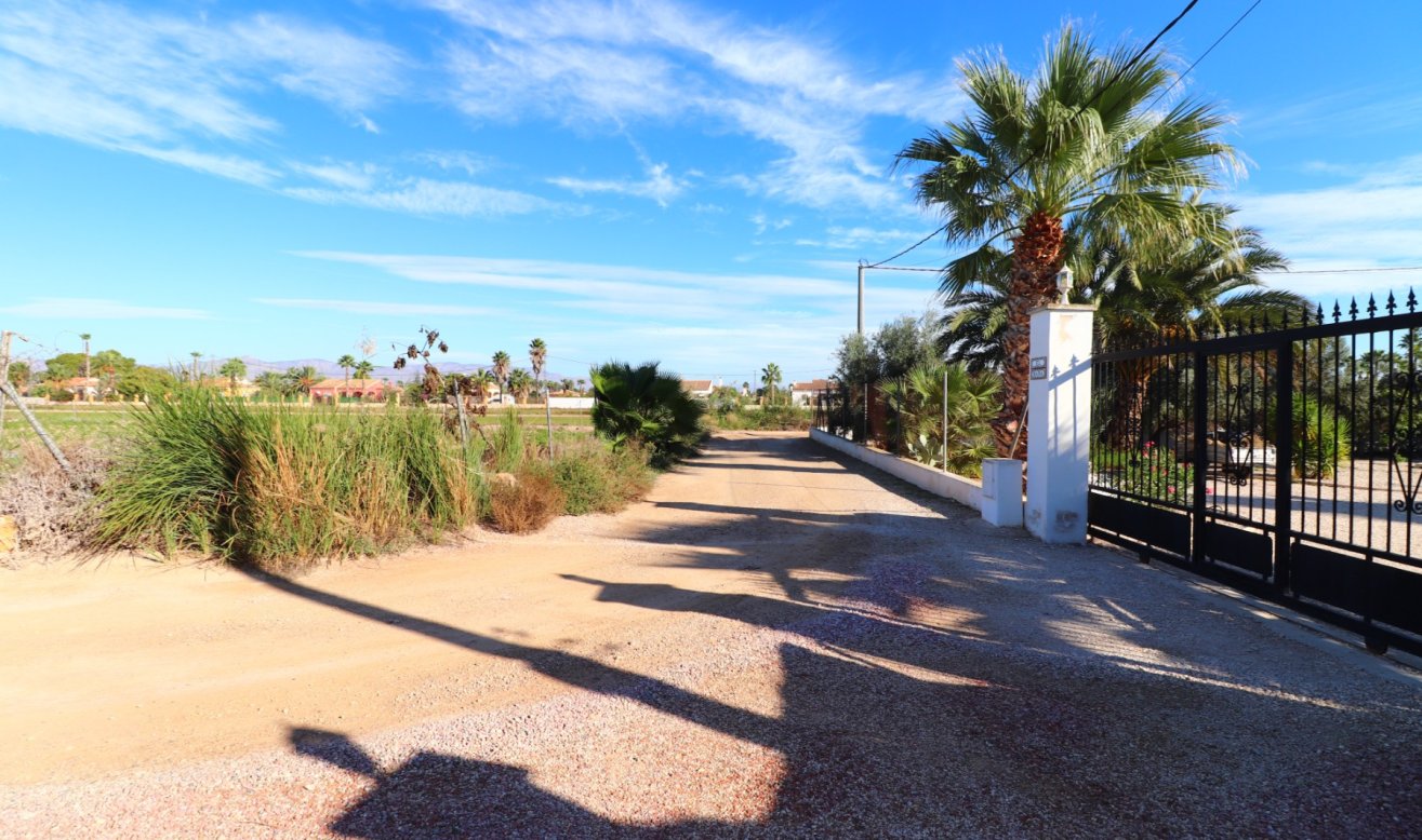 Reventa - Country Property - Catral - Catral - Country