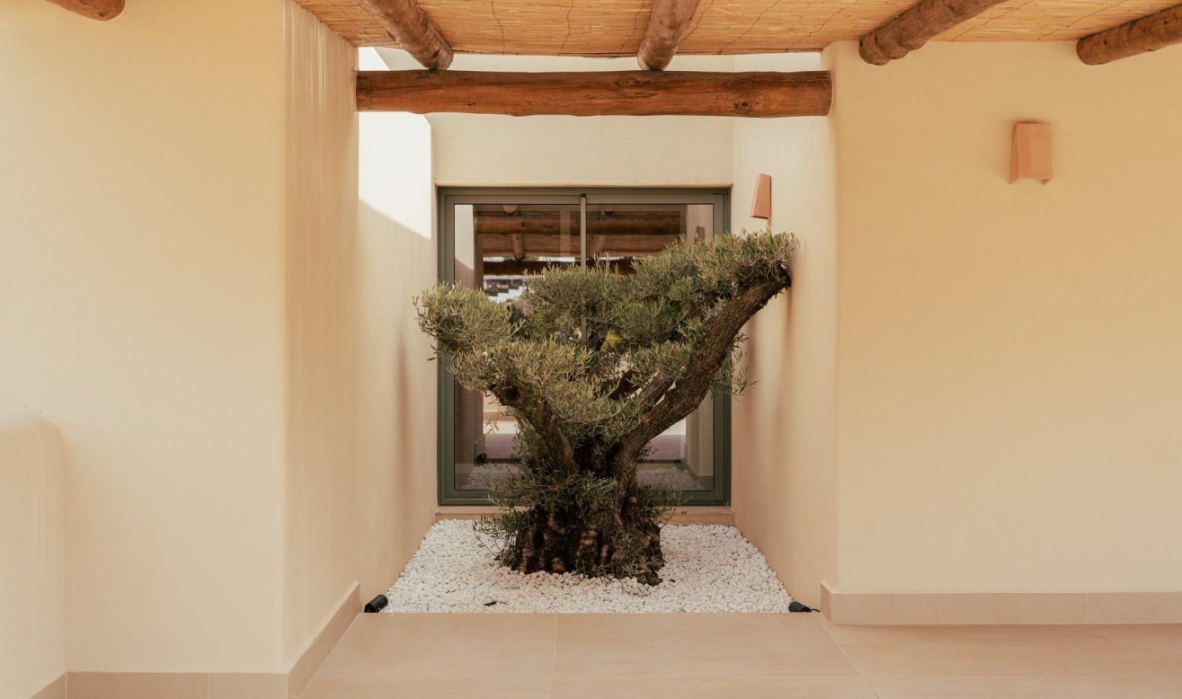 Obra nueva - Villa - Jávea Xàbia - Valle del Sol