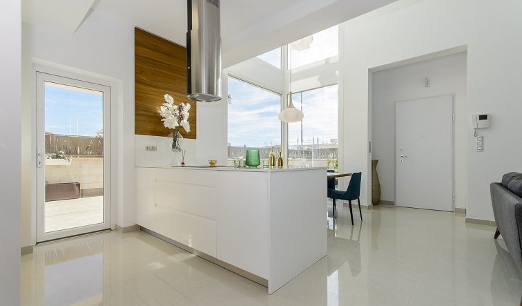 Obra nueva - Villa - Los Montesinos - La Herrada