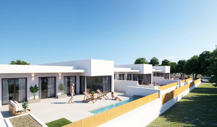 Obra nueva - Adosado - Dolores - Sector 3