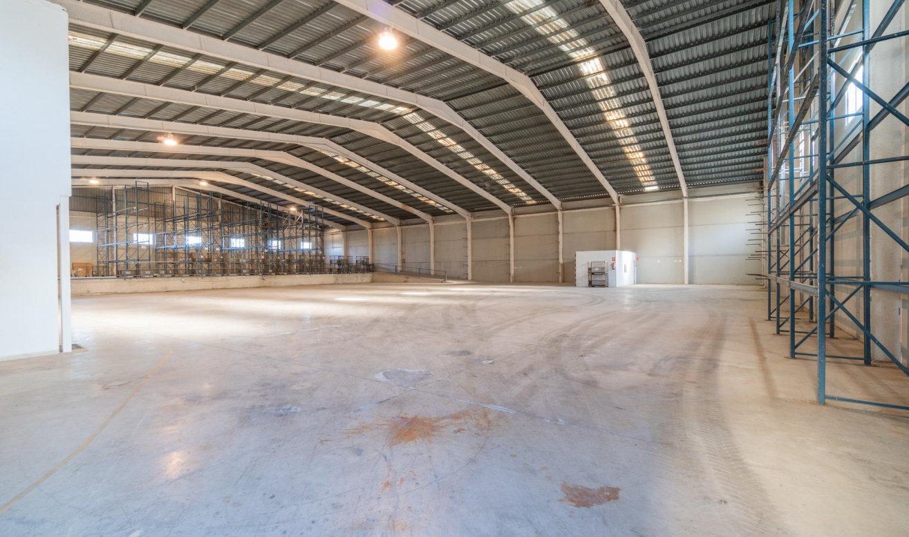  - Industrial unit - Pilar de la Horadada - Polígono industrial Cañada de Práez