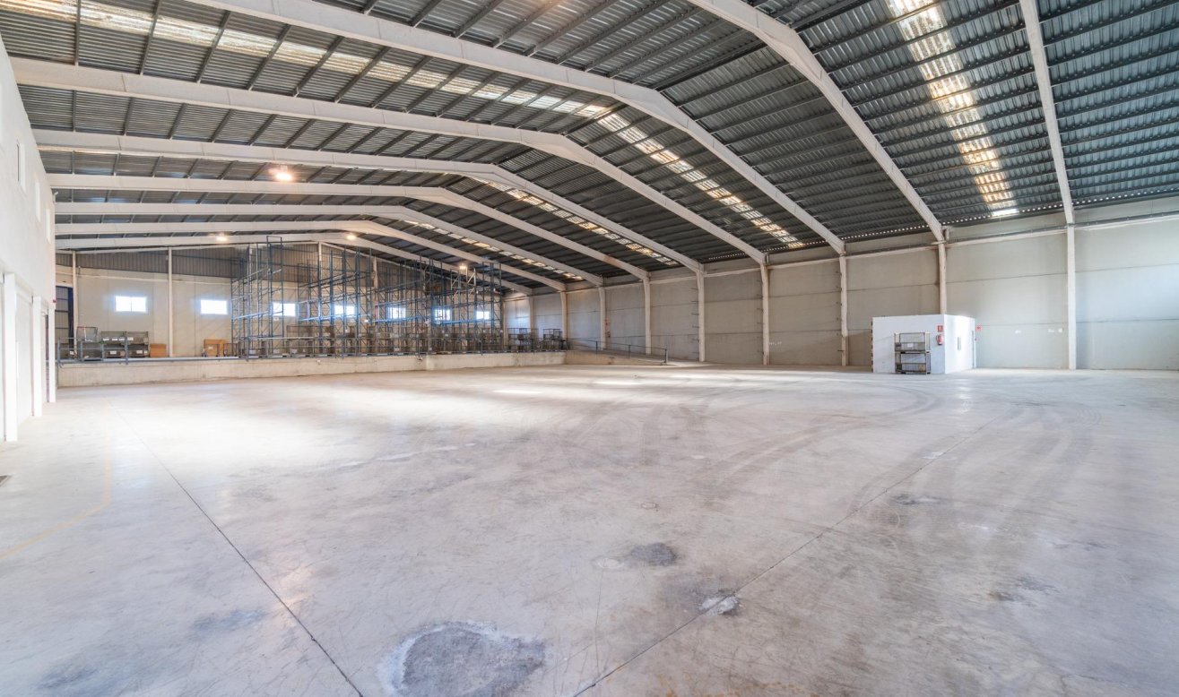  - Industrial unit - Pilar de la Horadada - Polígono industrial Cañada de Práez