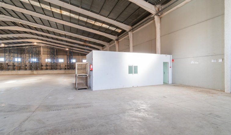  - Industrial unit - Pilar de la Horadada - Polígono industrial Cañada de Práez