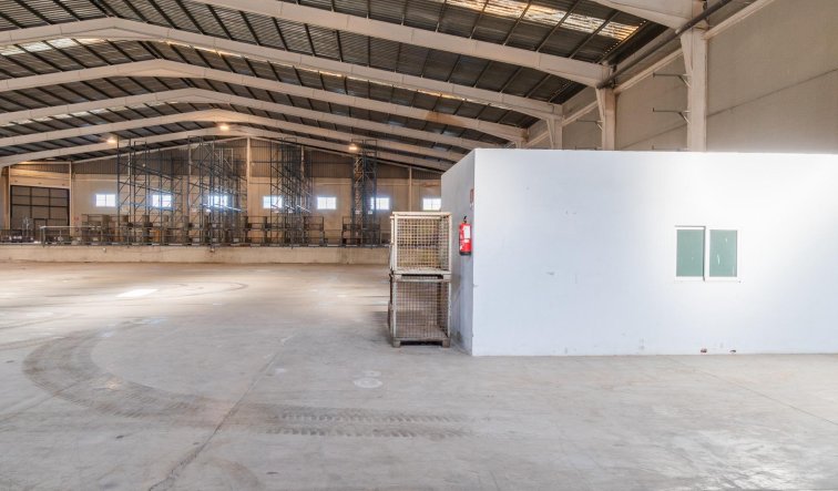  - Industrial unit - Pilar de la Horadada - Polígono industrial Cañada de Práez