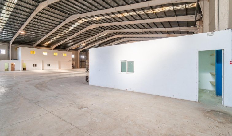  - Industrial unit - Pilar de la Horadada - Polígono industrial Cañada de Práez