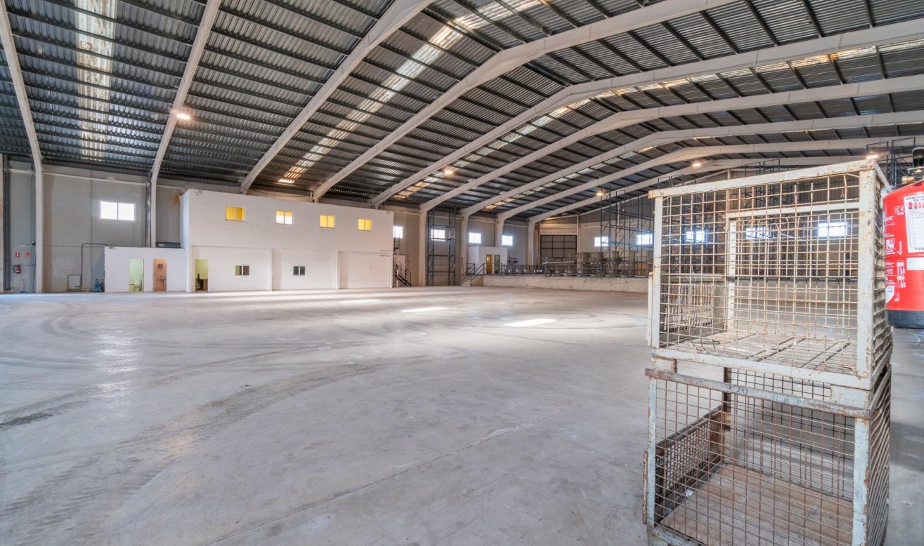  - Industrial unit - Pilar de la Horadada - Polígono industrial Cañada de Práez