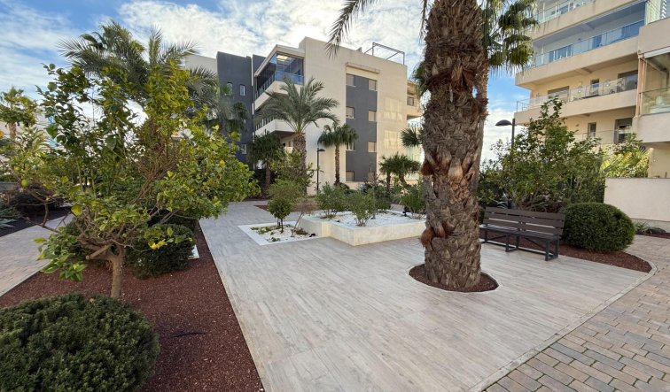 Reventa - Apartamento / piso - Orihuela Costa - Los Dolses