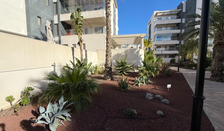 Reventa - Apartamento / piso - Orihuela Costa - Los Dolses