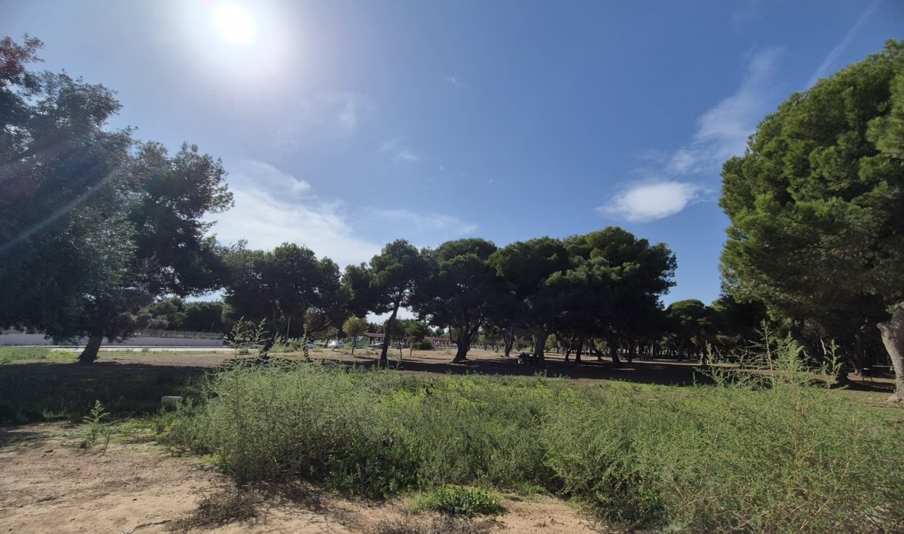 Reventa - Semi Detached Villa - Santiago de La Ribera - Santiago de La Ribera - Town