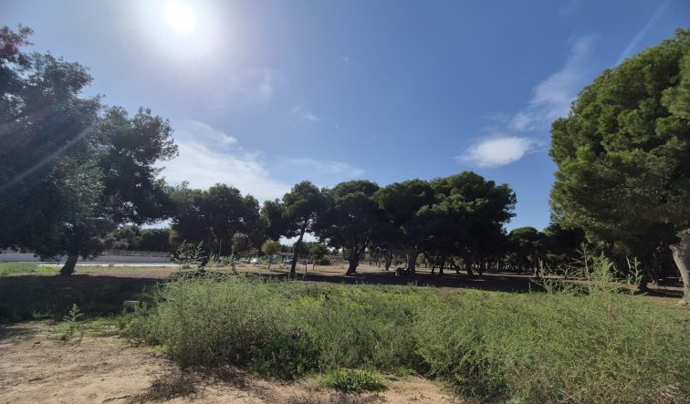 Reventa - Semi Detached Villa - Santiago de La Ribera - Santiago de La Ribera - Town