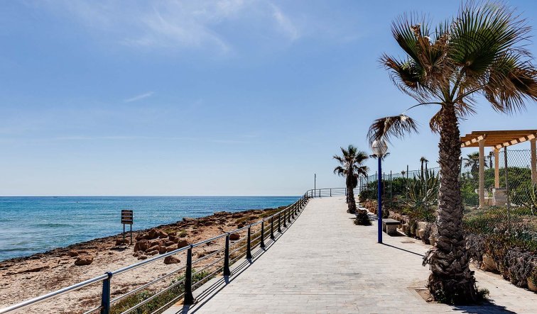 Obra nueva - Villa - Orihuela Costa - La Zenia