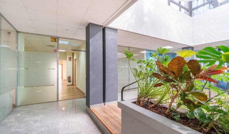  - Commercial Unit - Orihuela Costa - Playa Flamenca