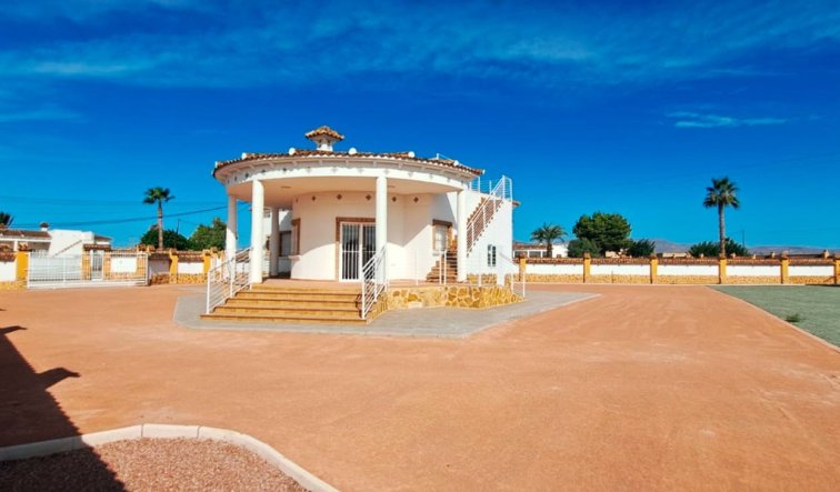 Reventa - Country Property - Catral - Catral - Country