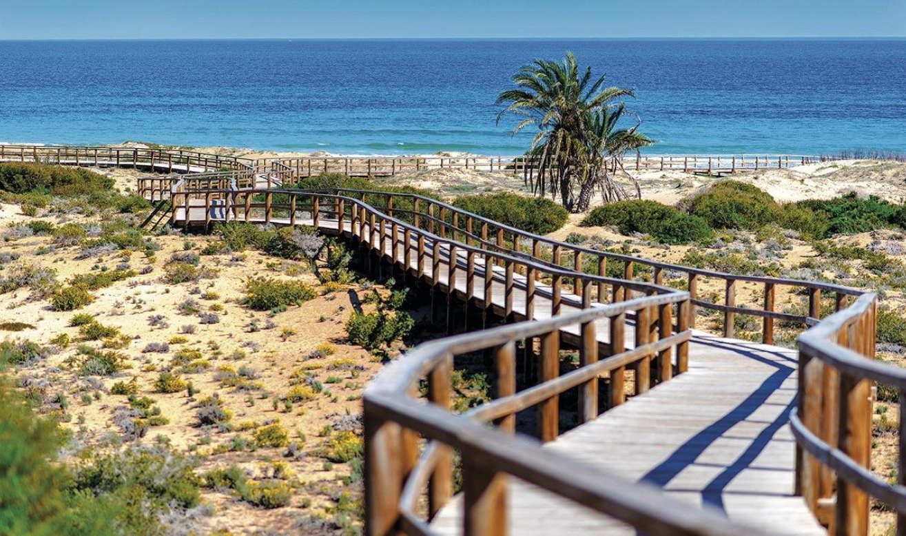 Obra nueva - Ático - Monforte del Cid - Alenda Golf